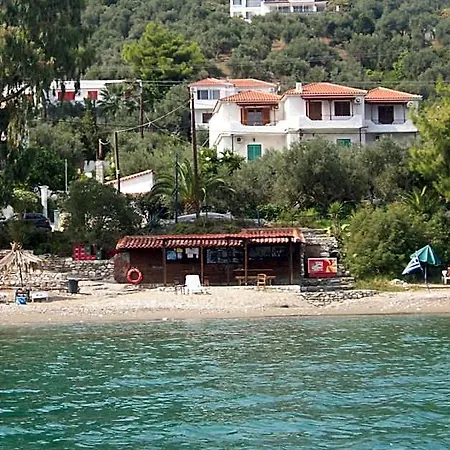 Hotel Azalea 3*