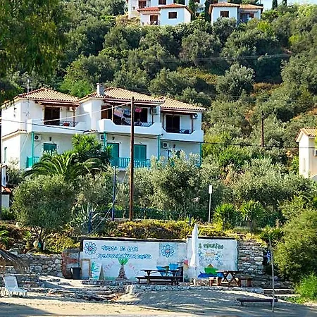 Hotel Azalea 3*