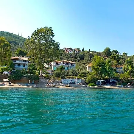 Hotel Azalea 3*